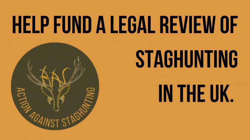 Legal review of stag hunting in the UK