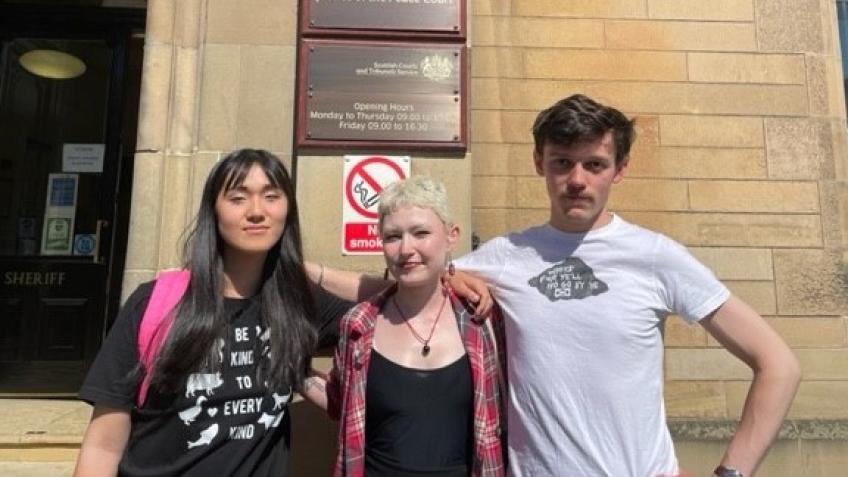 Wallace Action Court Fines
