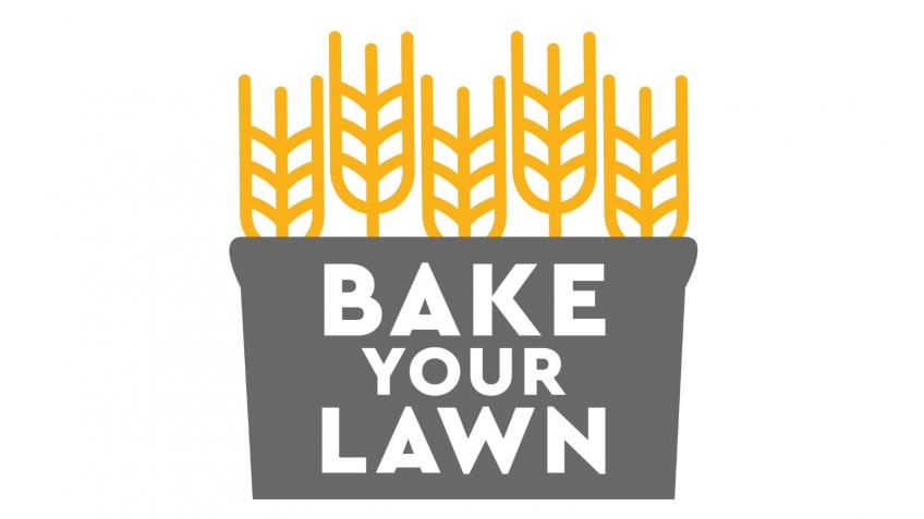 Bake Your Lawn