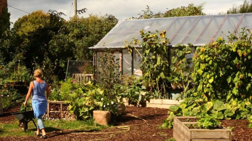 Red Brick Building Community & Wildlife Garden