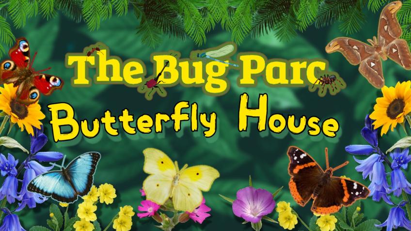 The Bug Parc Tropical Butterfly House