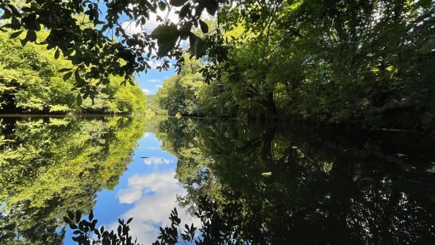 Celebrating the River Exe: Walk and Song Share