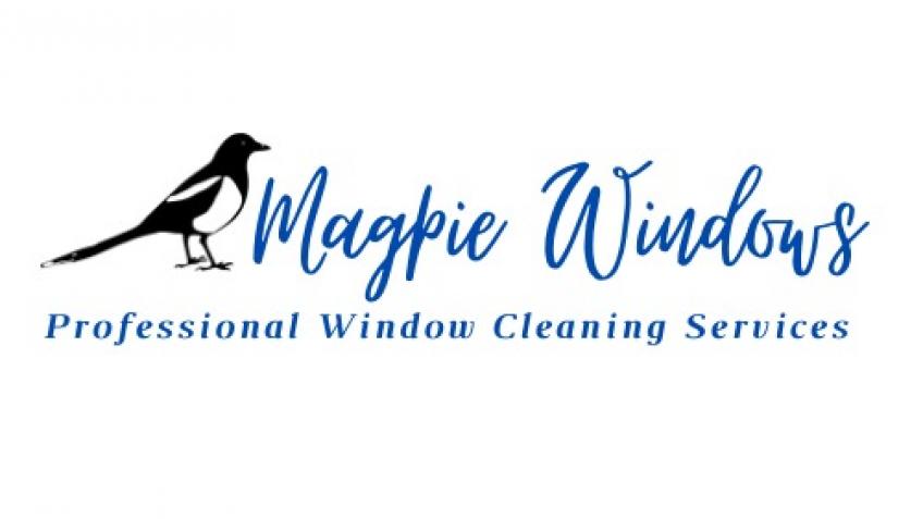 Help Me Launch My Window Cleaning Business