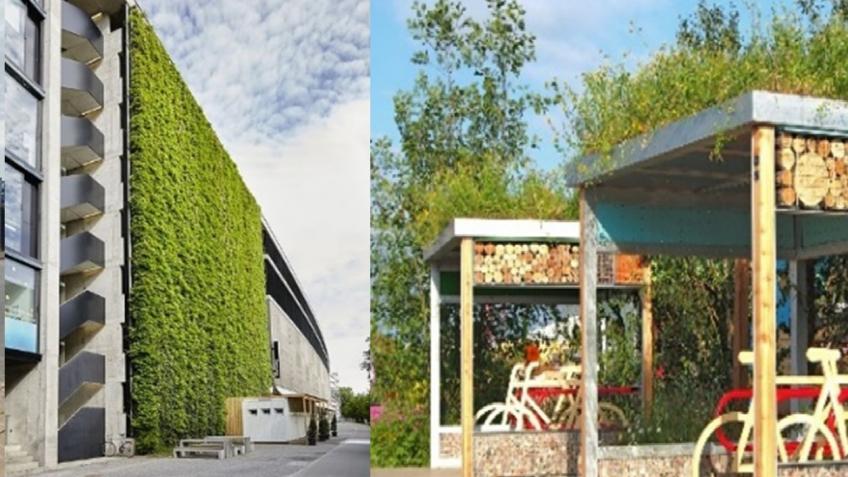 Transforming A School: Nature for Children