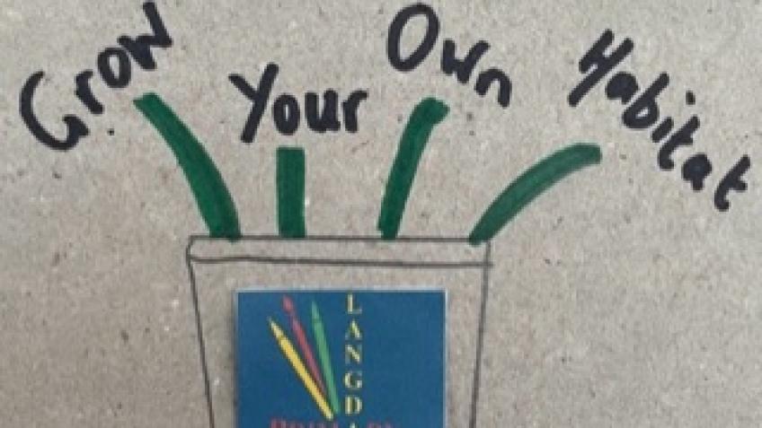 Grow your own habitat