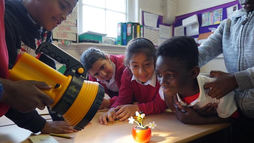 Free Environmental Workshops for Key Stages 2-5
