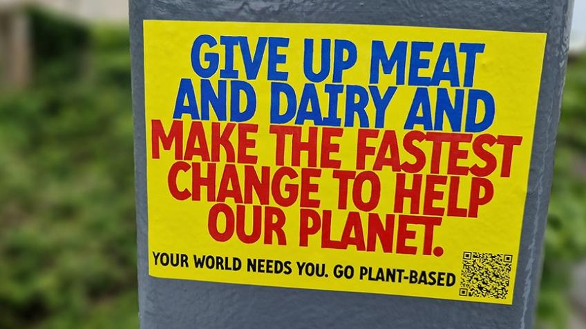 An urban vegan stickering and awareness campaign