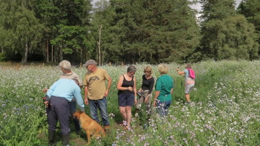 Habitat Creation for Wildlife