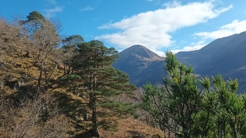 Lochaber National Park Bid