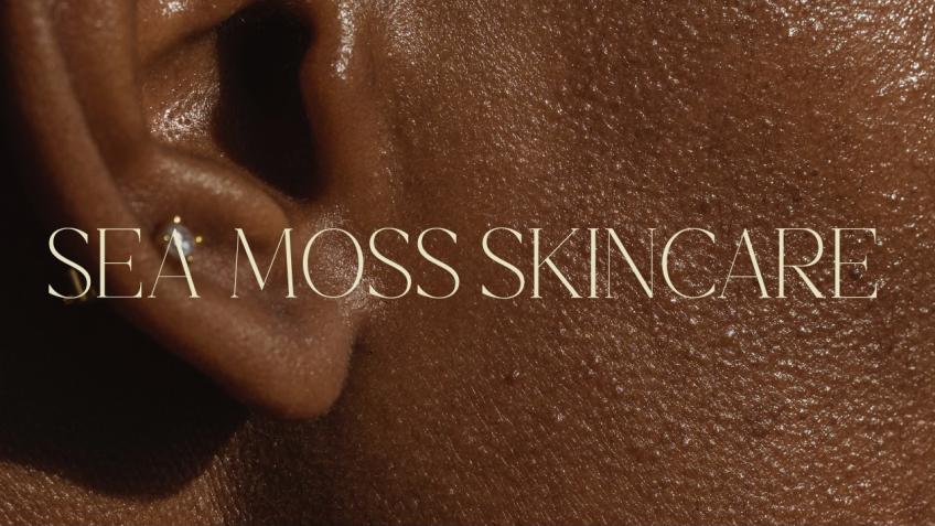 Wildcrafted Sea Moss Skincare
