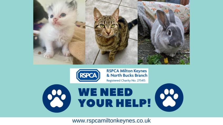 RSPCA Milton Keynes and North Buckinghamshire Branch