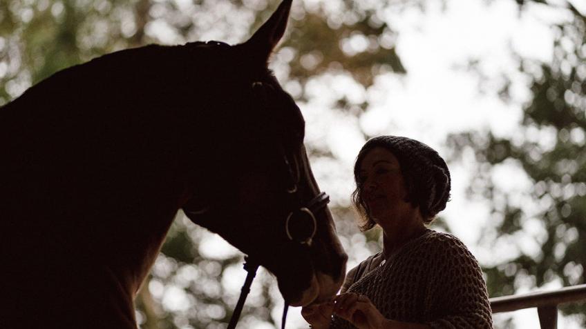 Help Health of Horses, Employment & Sustainability