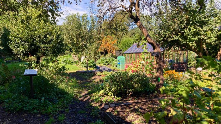 Green's Windmill Community Garden