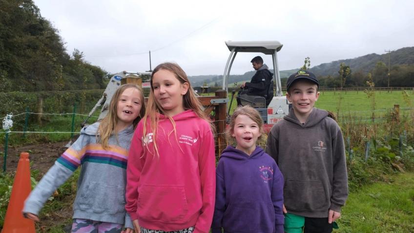 Wildlife pond - Umberleigh Academy community park
