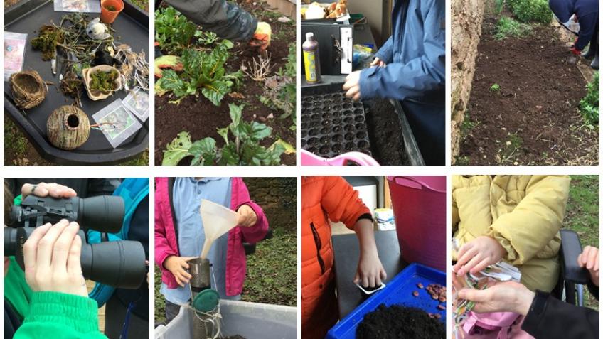 Devon Special Needs Pupils' Garden Enterprise