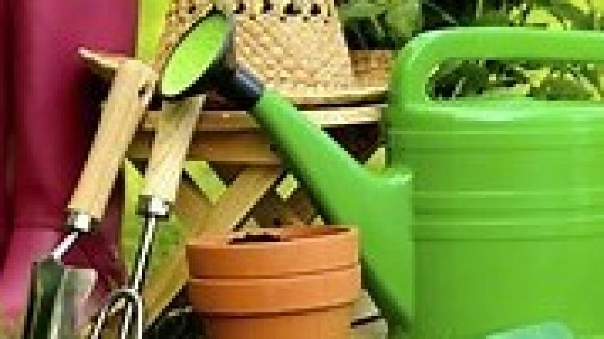 Headway - Southampton, Allotment Project