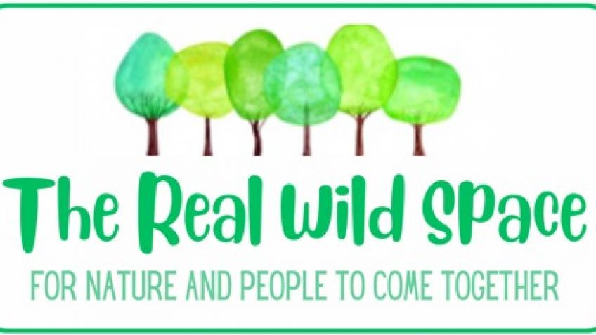 The Real Wild Space