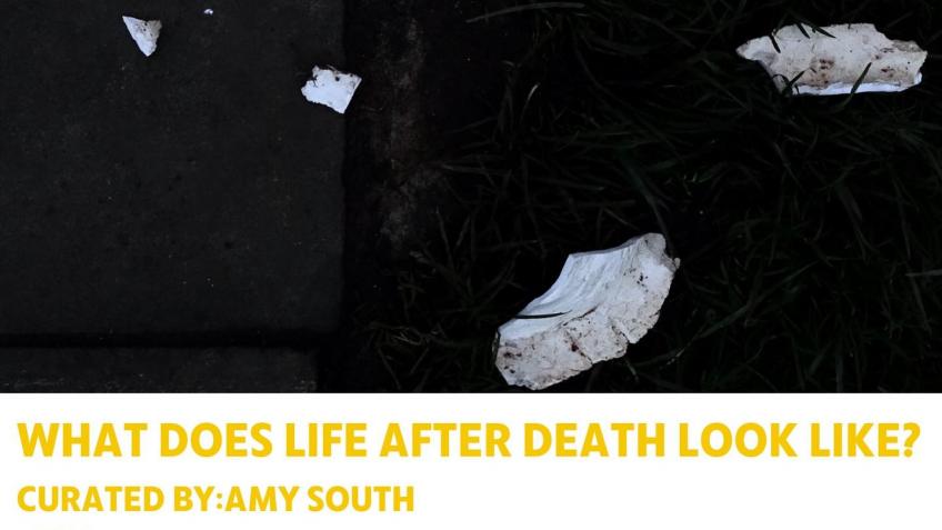 What Does Life After Death Look Like? Catalogue.