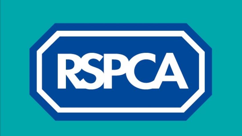 ROYAL SOCIETY FOR THE PREVENTION OF CRUELTY TO ANIMALS SOUTH WEST SOMERSET BRANCH