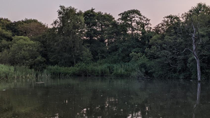 Half-Mile Lake Habitat Improvements