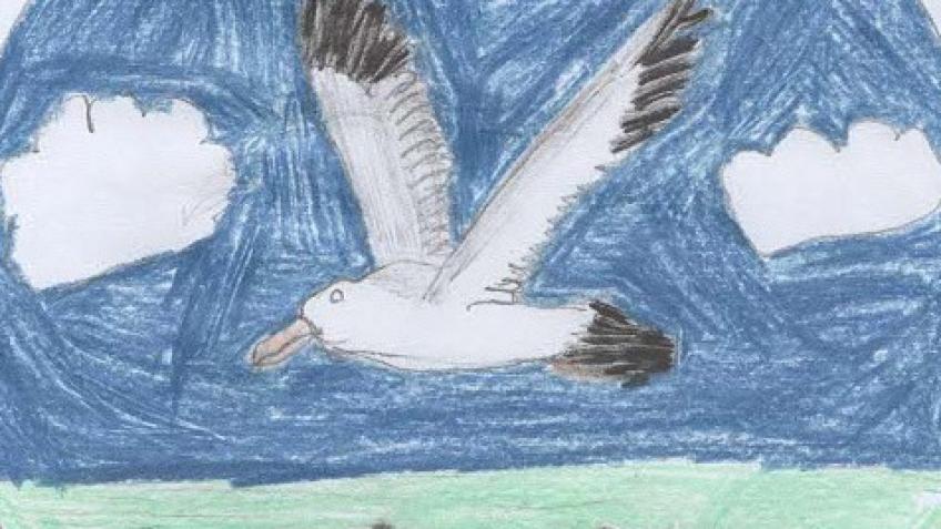 Help us to Refurbish Arnside Playground