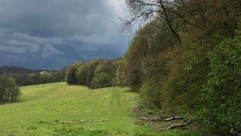 Finings Wood - rooted in the community