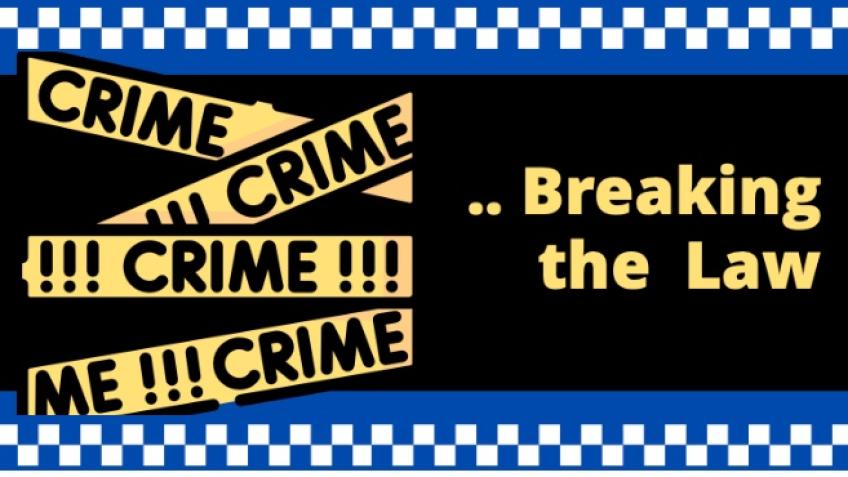 Challenge 'Pro Pimp' Police Policy