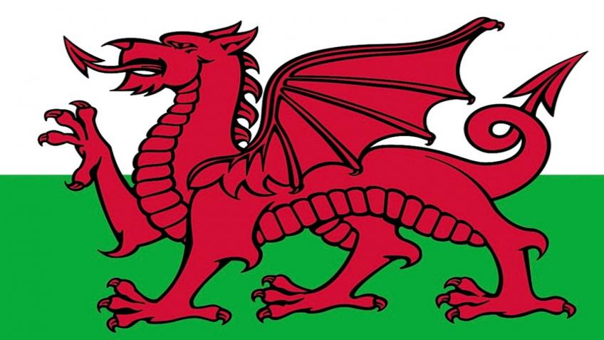 Team Wales 2024 Eurosurf Junior