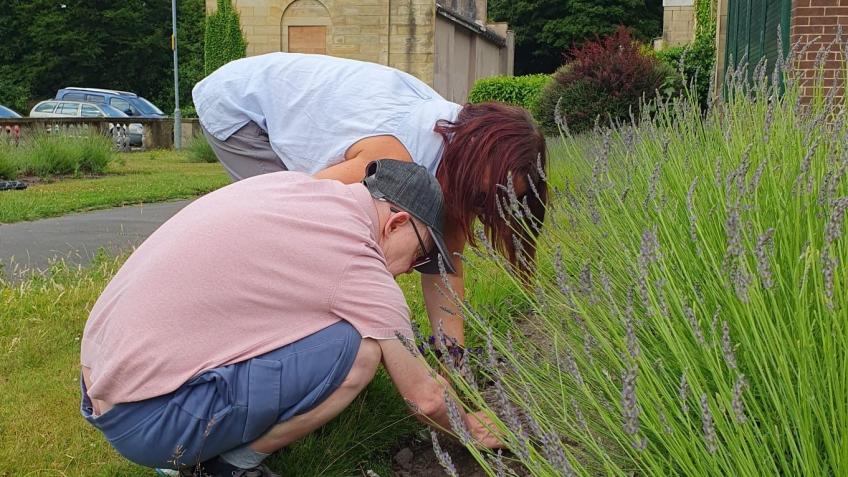 Falinge Park Garden Restoration