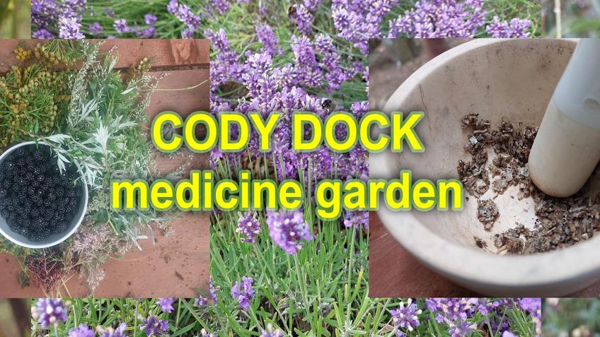 Cody Dock Medicine Garden