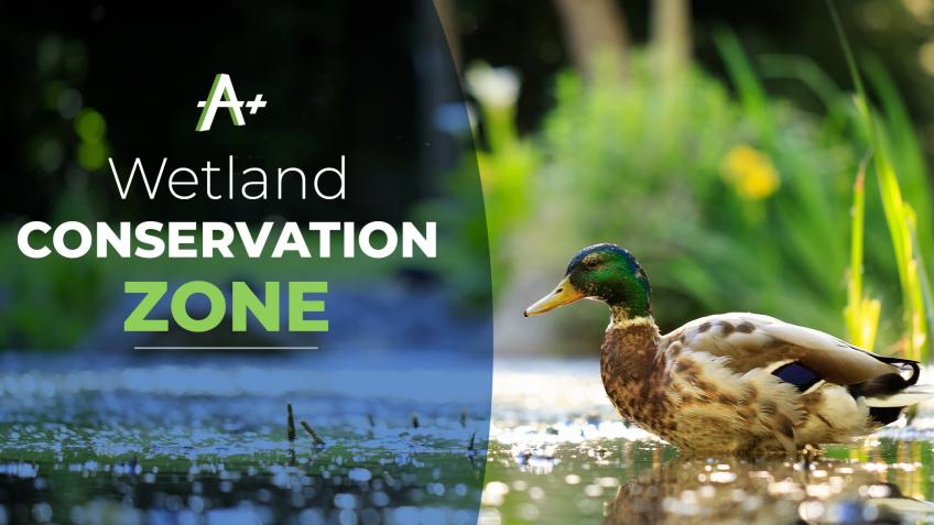 Wetland Conservation Zone