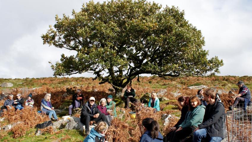 Sow, Grow, Revive! Dartmoor's Temperate Rainforest