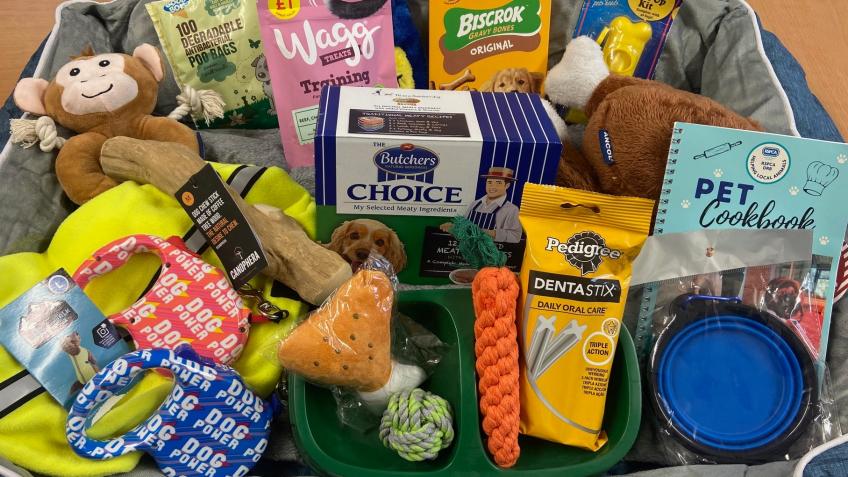 Fabulous Dog Hamper Prize Draw