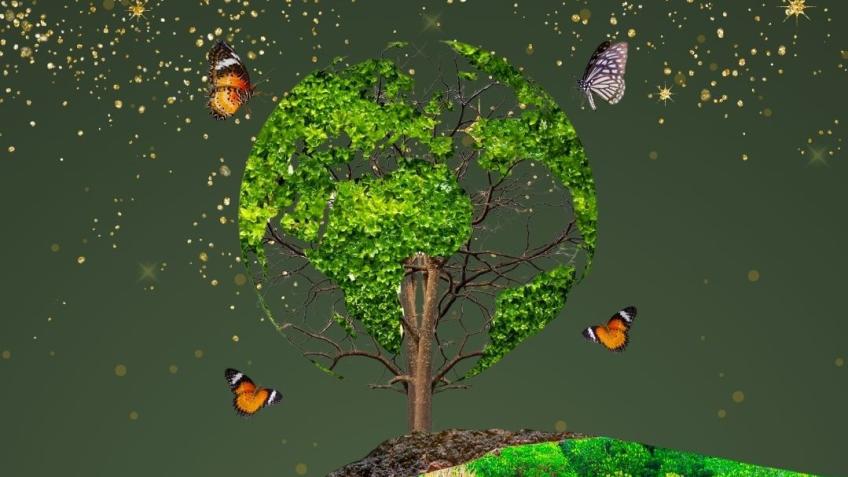 A livable planet's not just for Christmas
