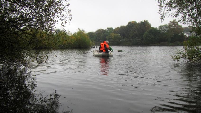 Regenerating Doffcocker LNR for Wildlife
