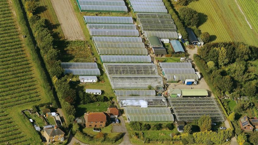 Support East Kent Growers
