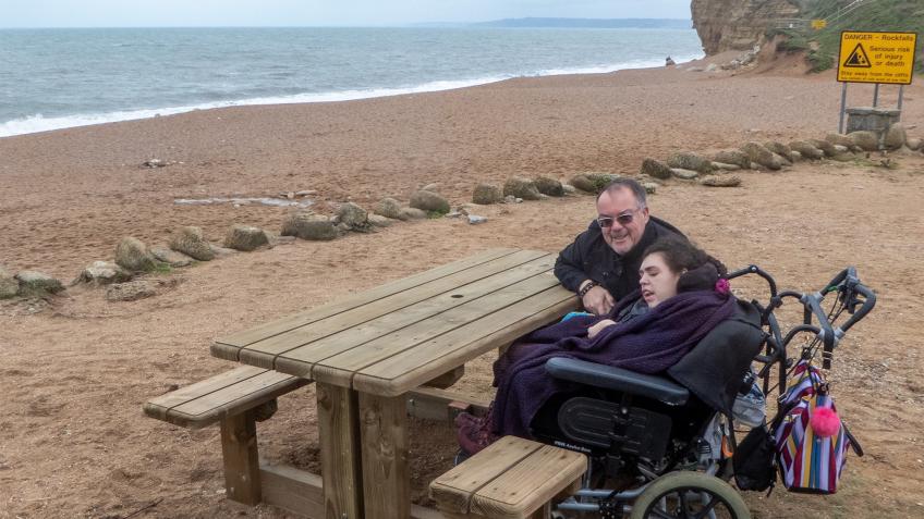 Hive Beach wheelchair friendly benches replacement