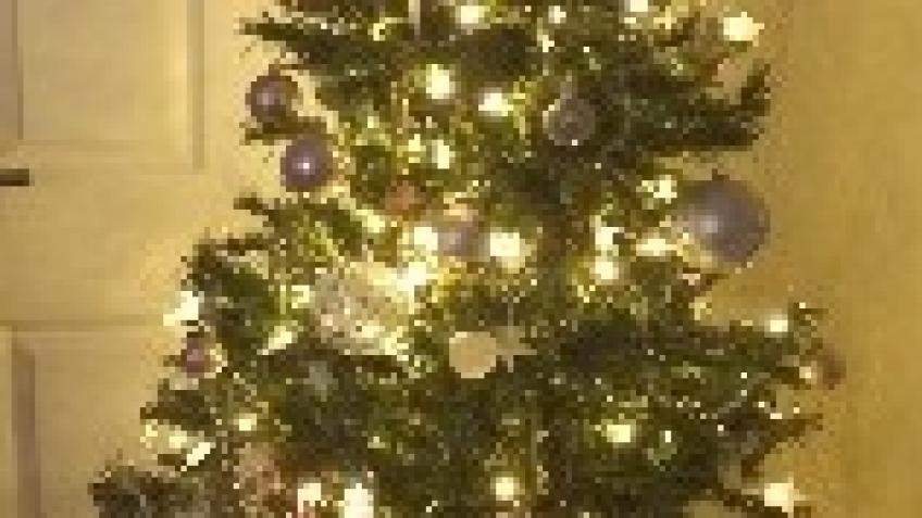Little Harbour hospice for Children, for Christmas
