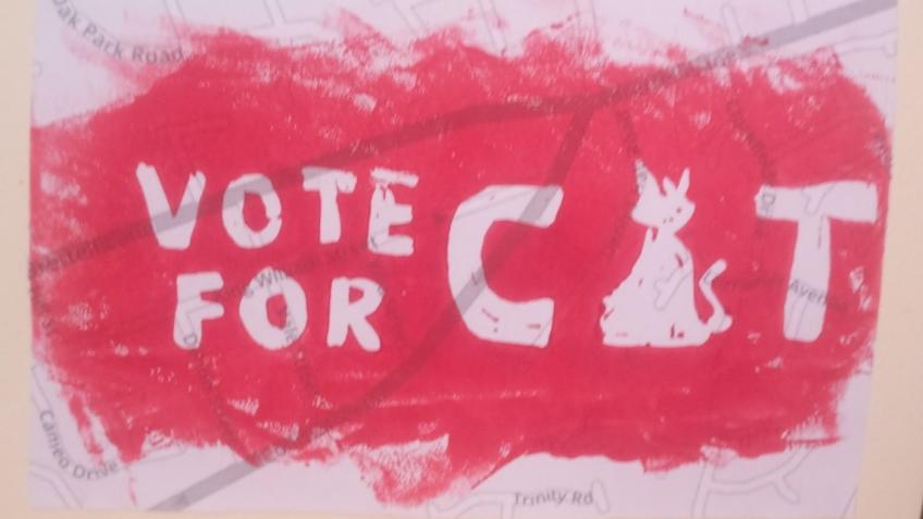Cat for Stourbridge