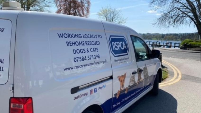 RSPCA WESTMORLAND BRANCH