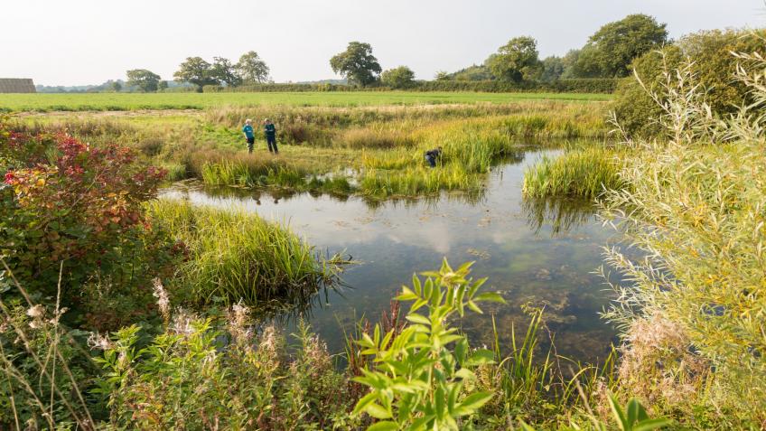 The Re-Pond Project