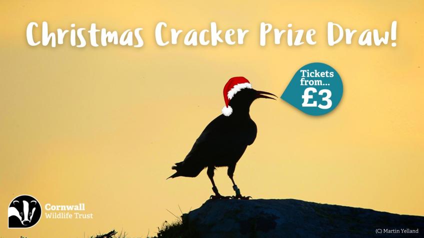 Christmas Cracker Prize Draw