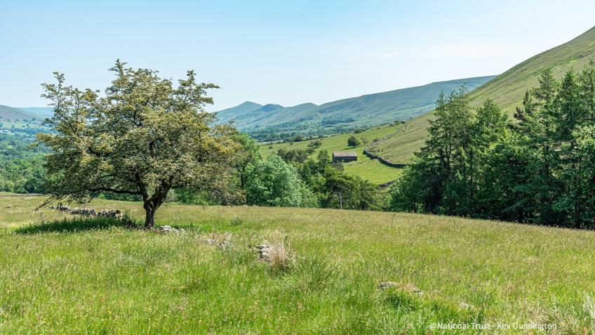 Peak District - Nature Recovery at Dalehead