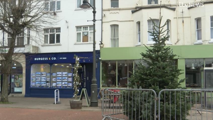 Christmas Tree Bexhill