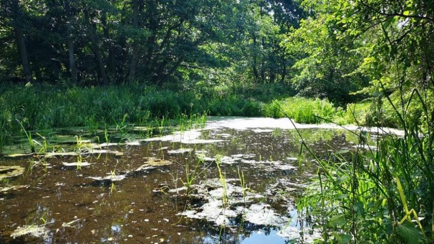 Riverlands Bollin; restoring rivers and landscapes