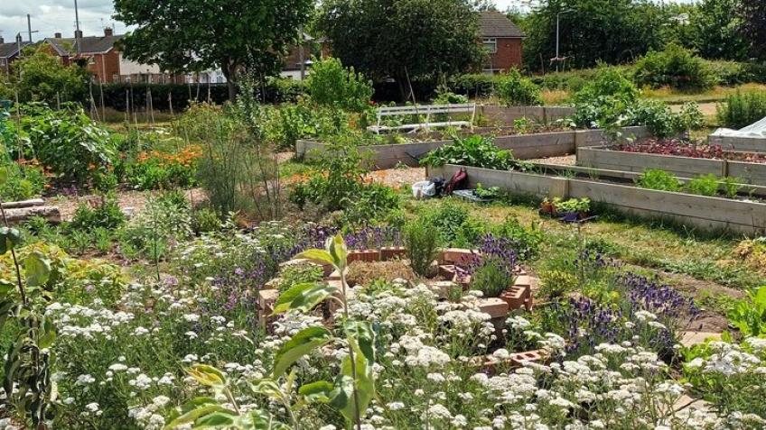 Cotgrave Community garden fundraiser