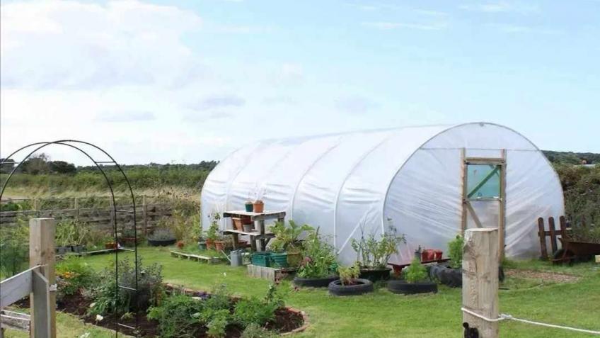 Help to start up a Gardening and farming charity!
