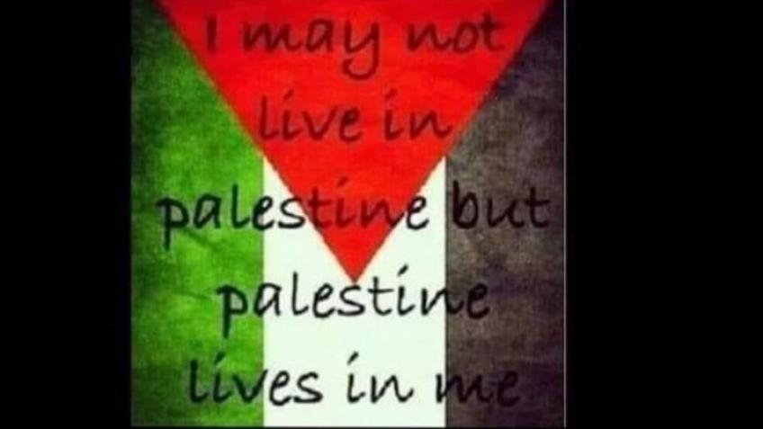 Free Palestine - a Charities crowdfunding project in Huddersfield by