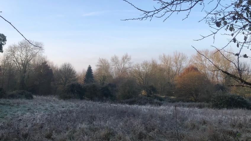 Second Raise: Meadow and Horse Fields in Iffley