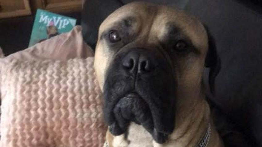 Get help for my boys operation